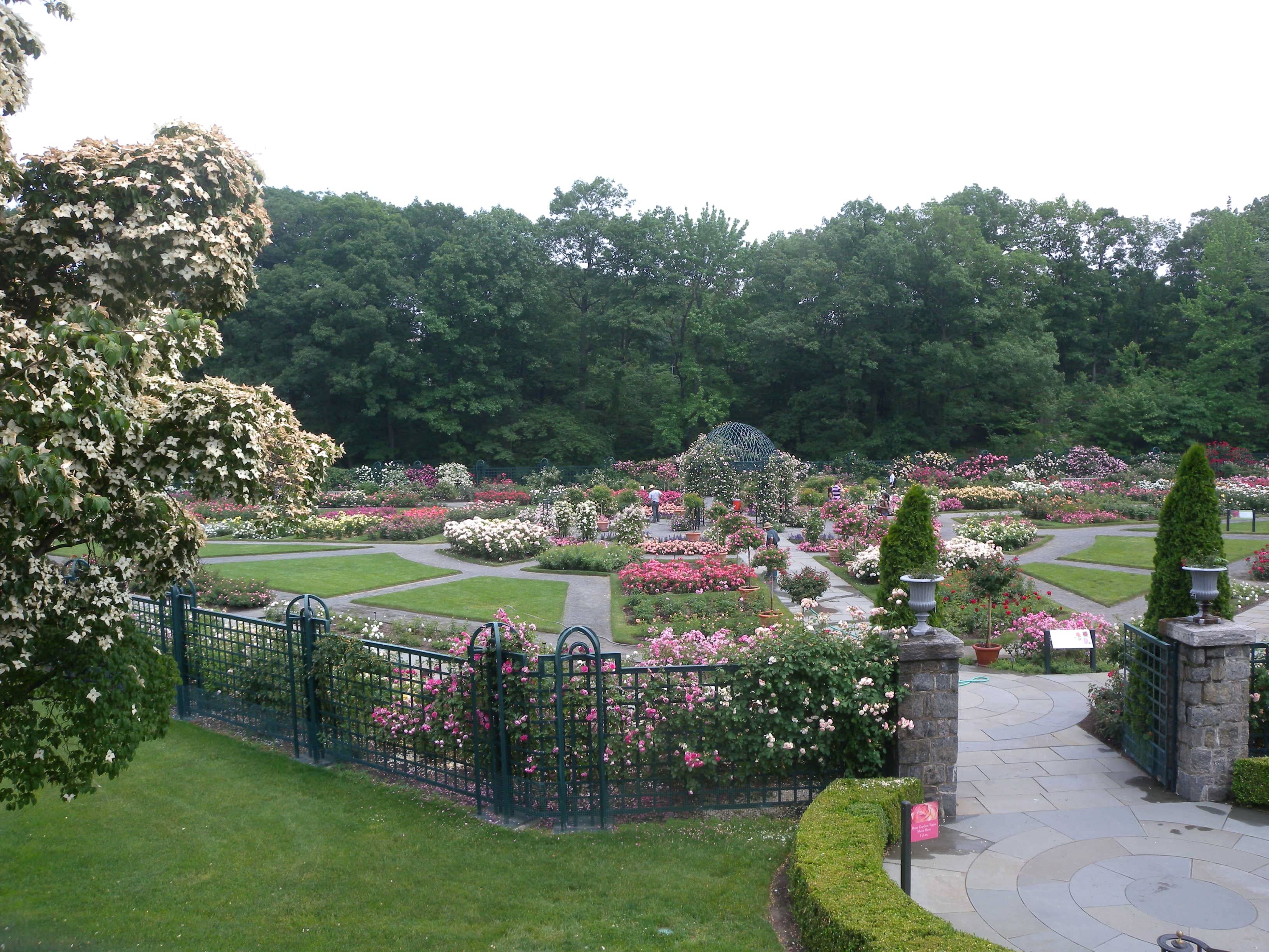 Rose Garden