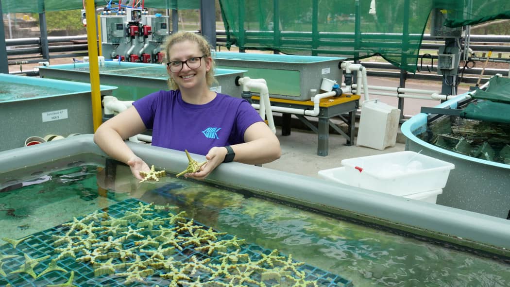 Interactive Touch Tanks