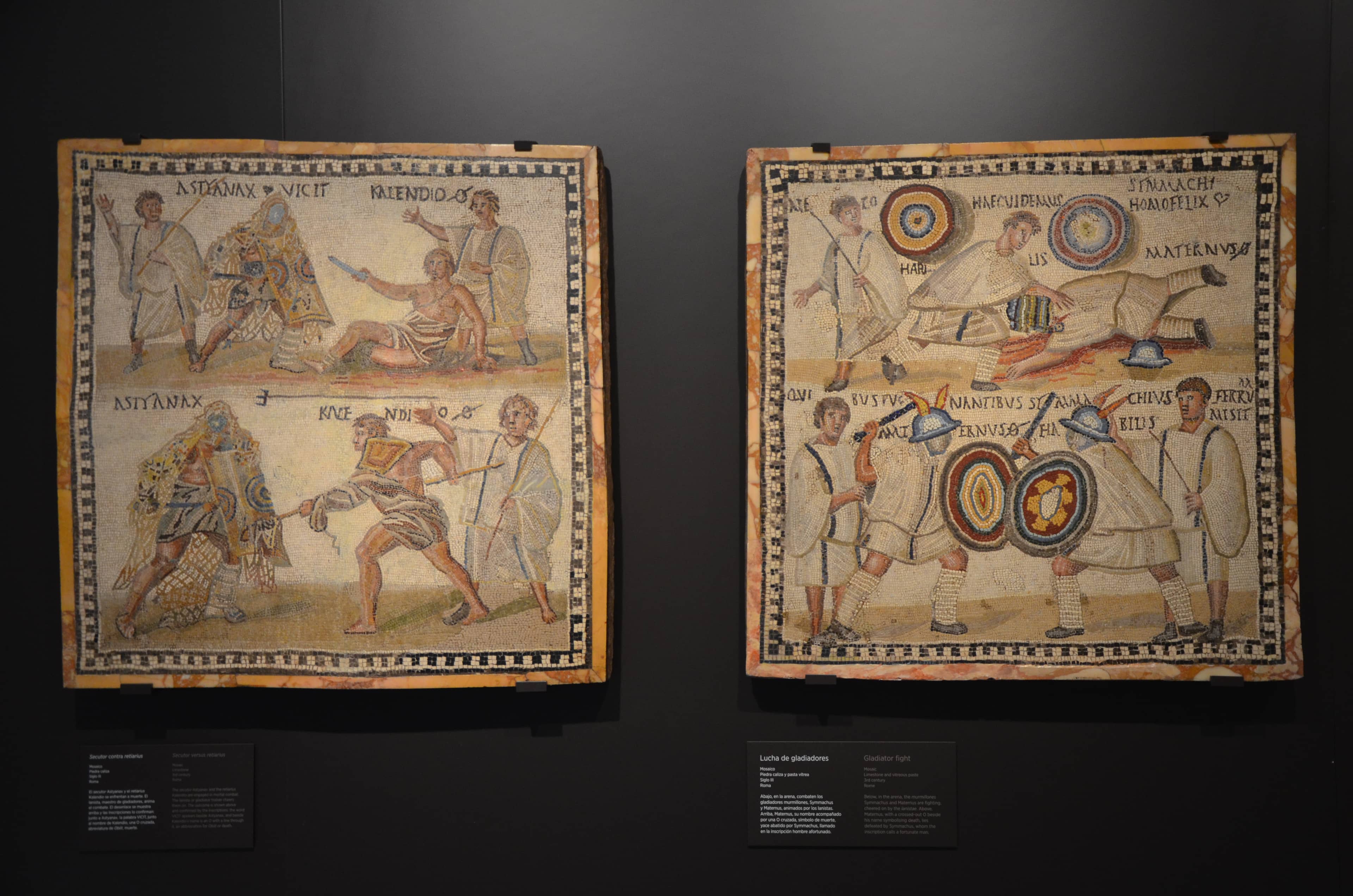 Prehistoric Treasures