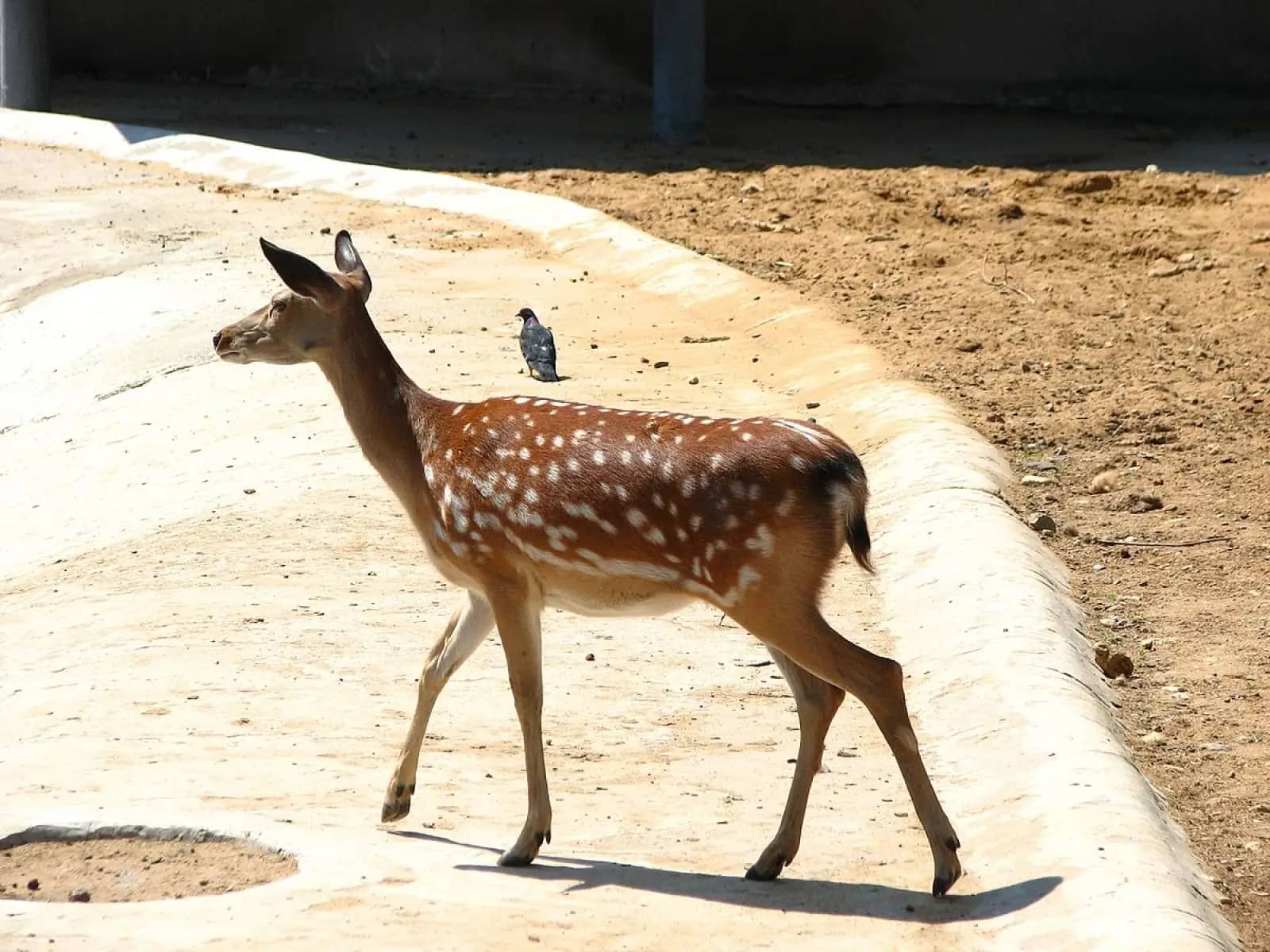 Interactive Feeding Zones