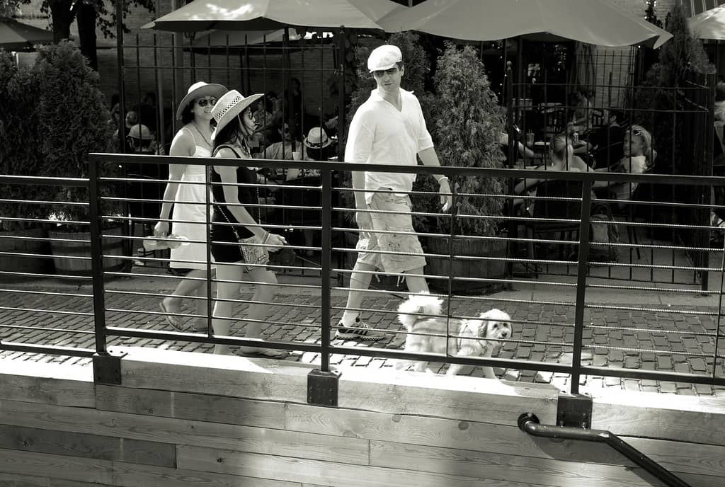 Stone Arch Bridge Festival