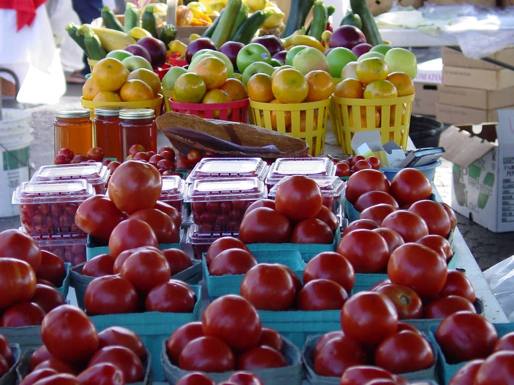 Delicious Local Food Vendors