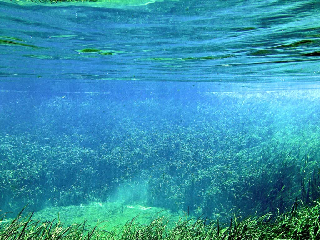 Crystal Clear Spring