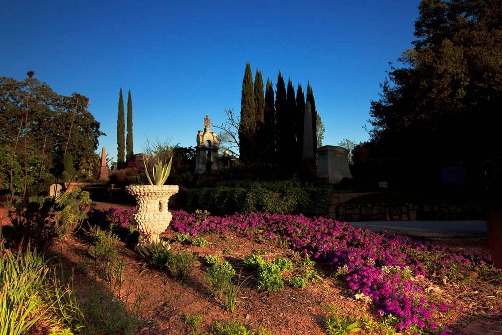 Victorian Gardens & Architecture