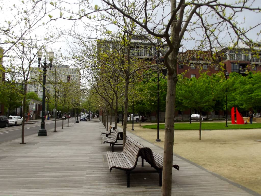 Open Lawns and Picnic Areas