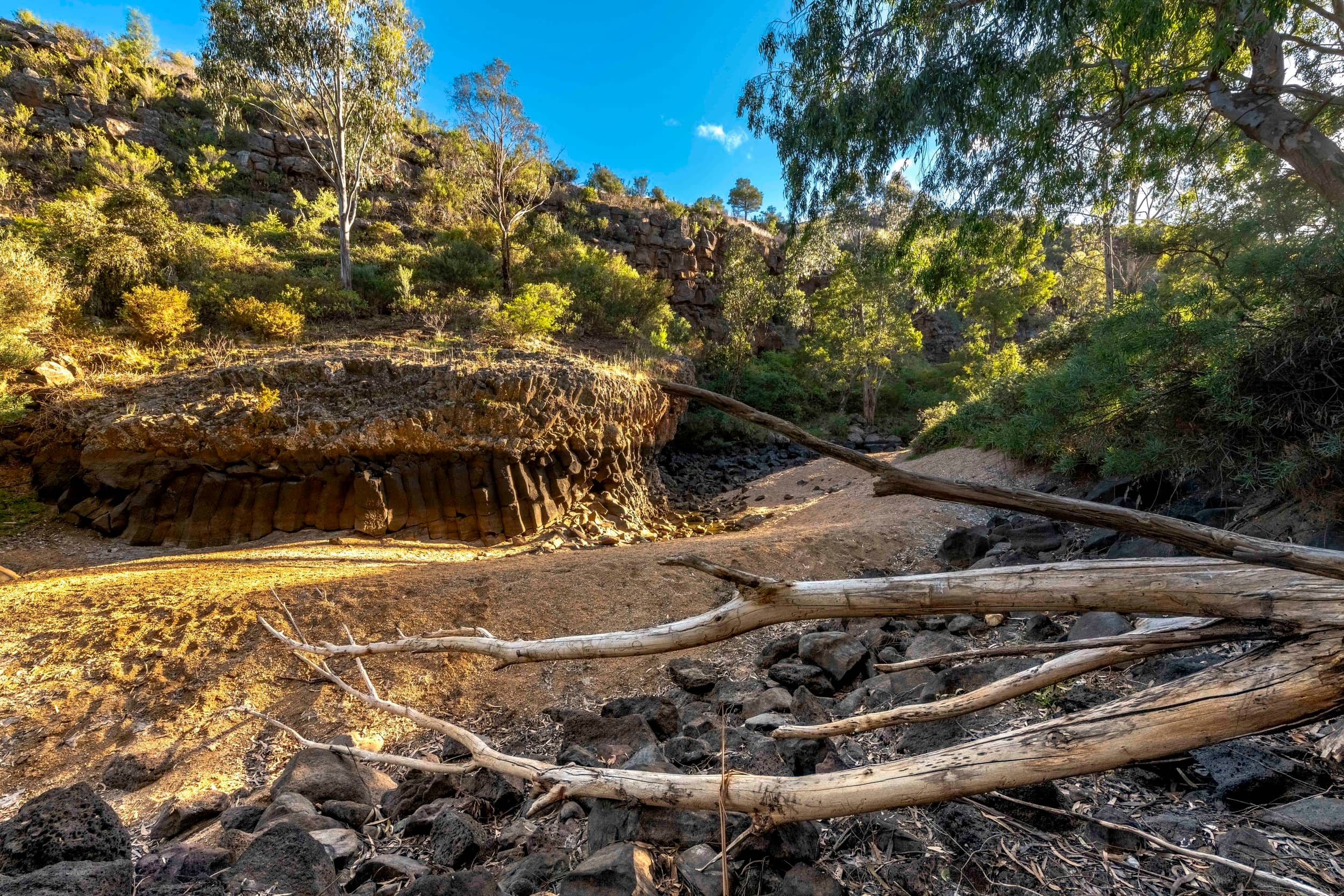 Picnic Benches with a View