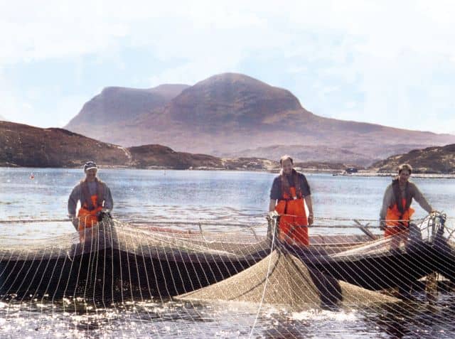 Fisherman's Paradise