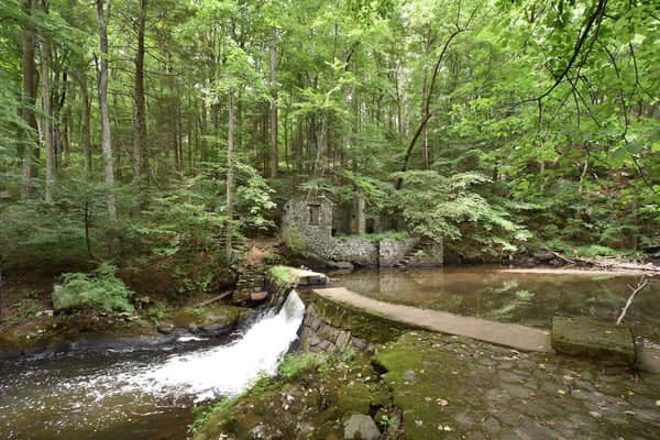 Wooded Hillside Trails