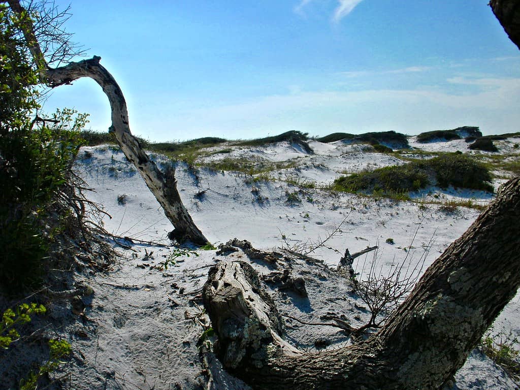Scenic Dune Trails