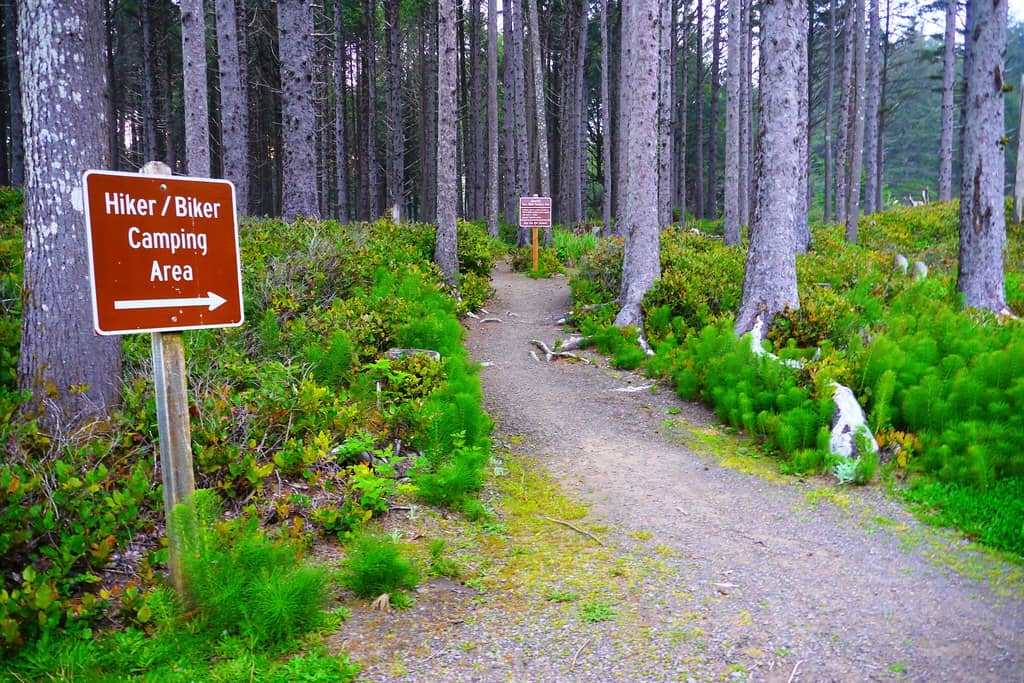Tranquil Walking Paths