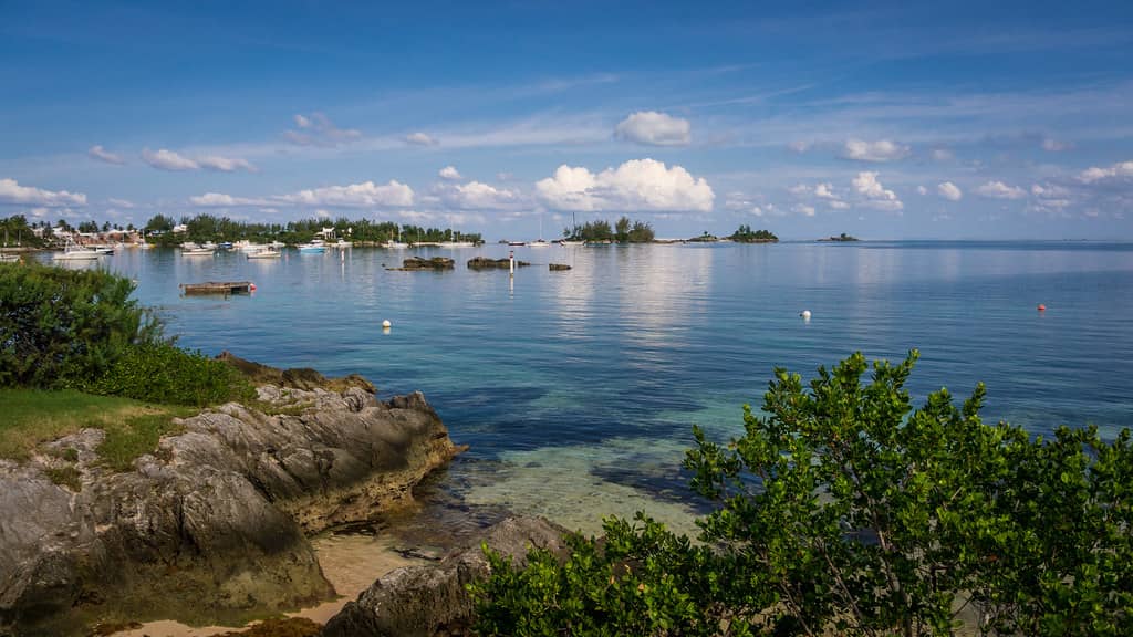 Tranquil Bayside Relaxation