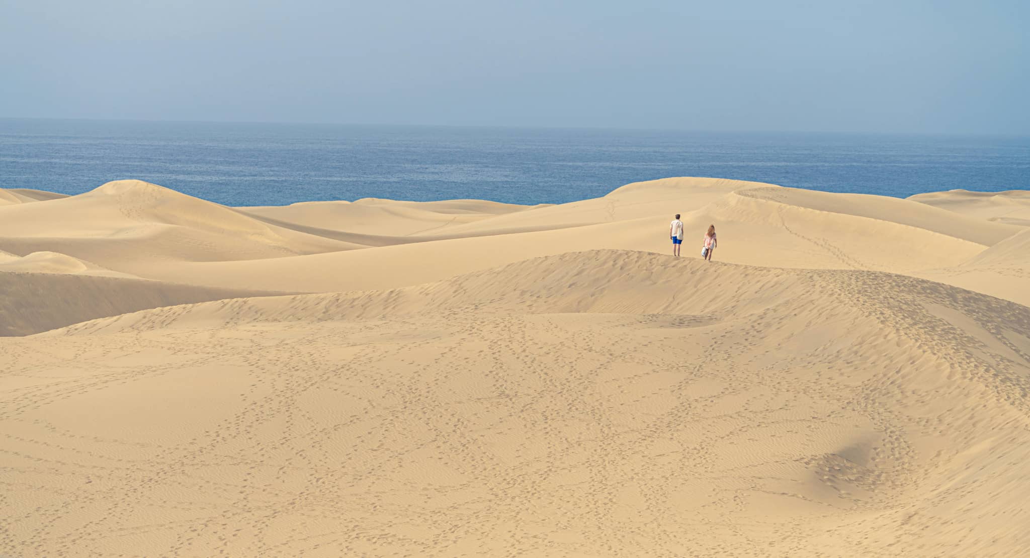 Desert Meets Ocean