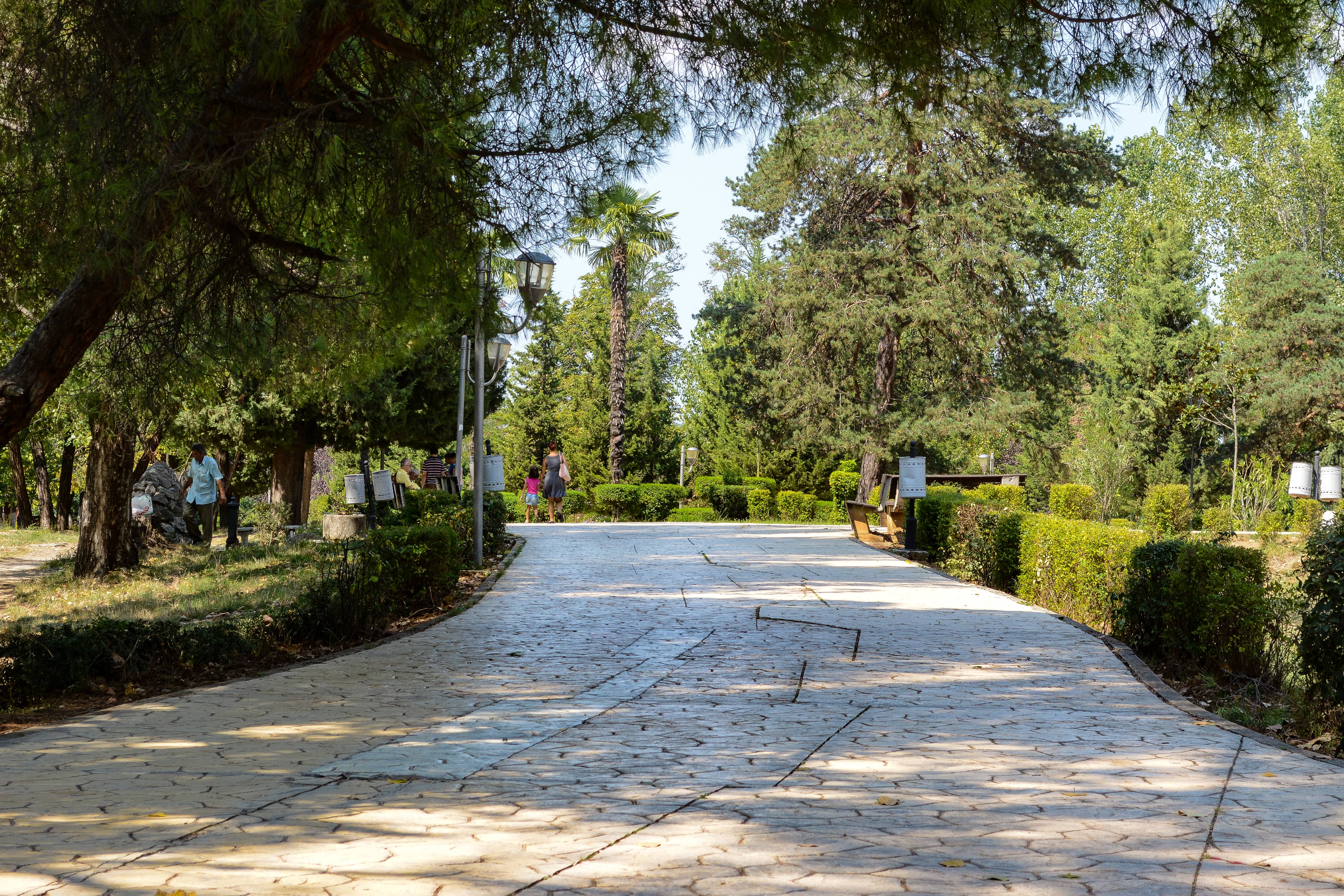 Botanical Garden Oasis