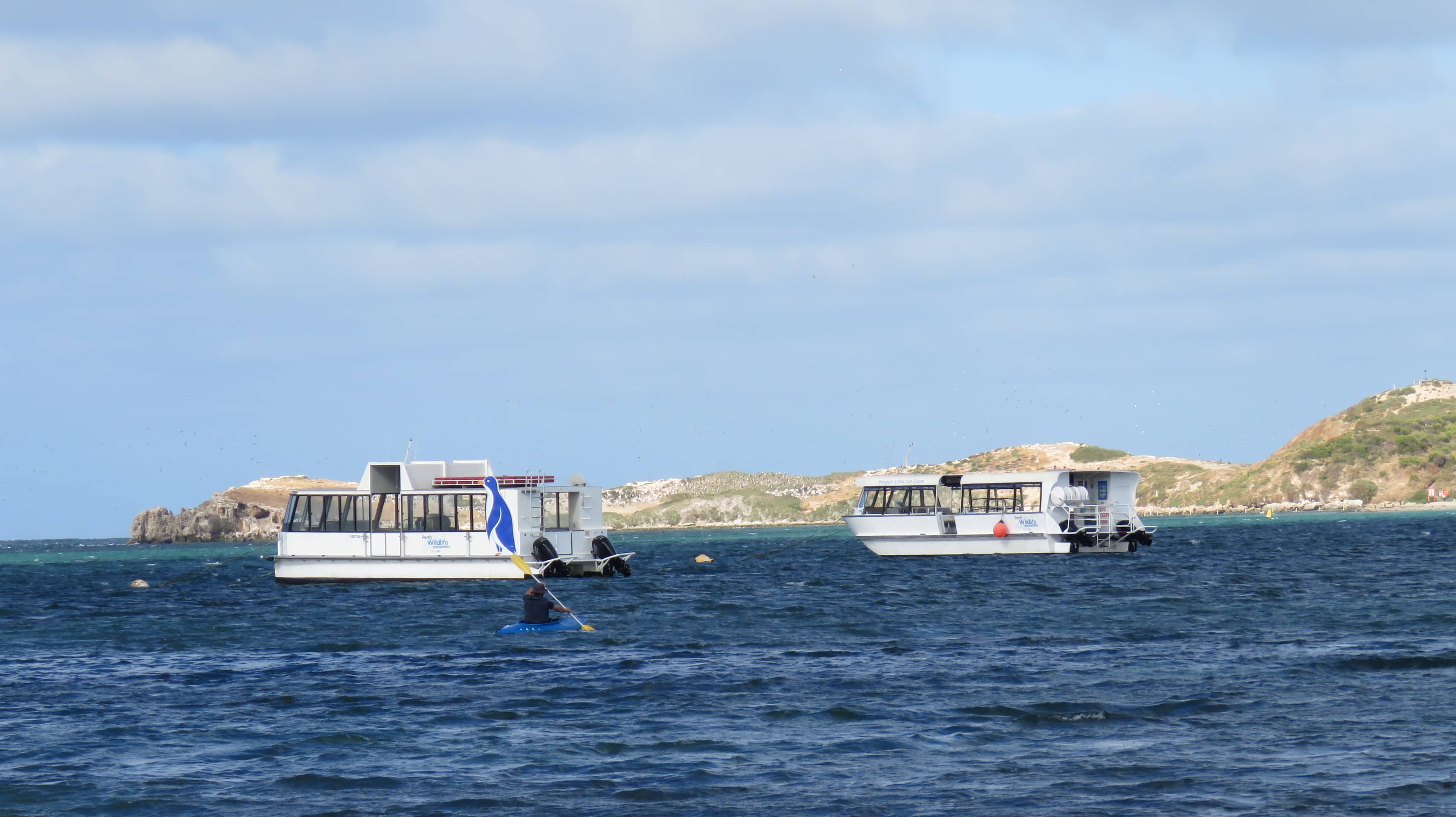 Glass Bottom Boat Tour