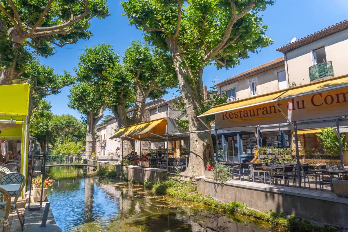 Casual Beachfront Dining