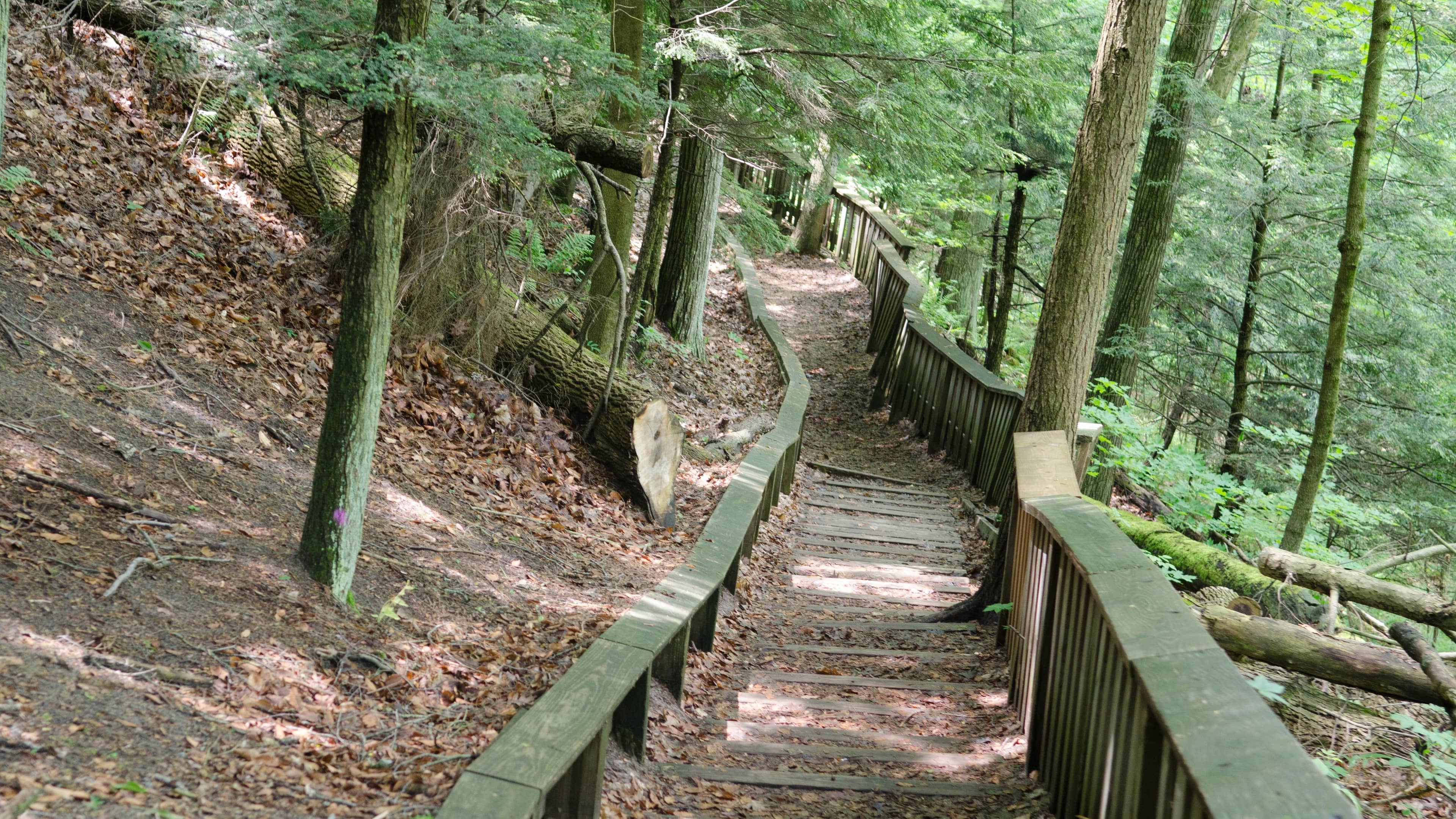 Scenic Hiking Paths