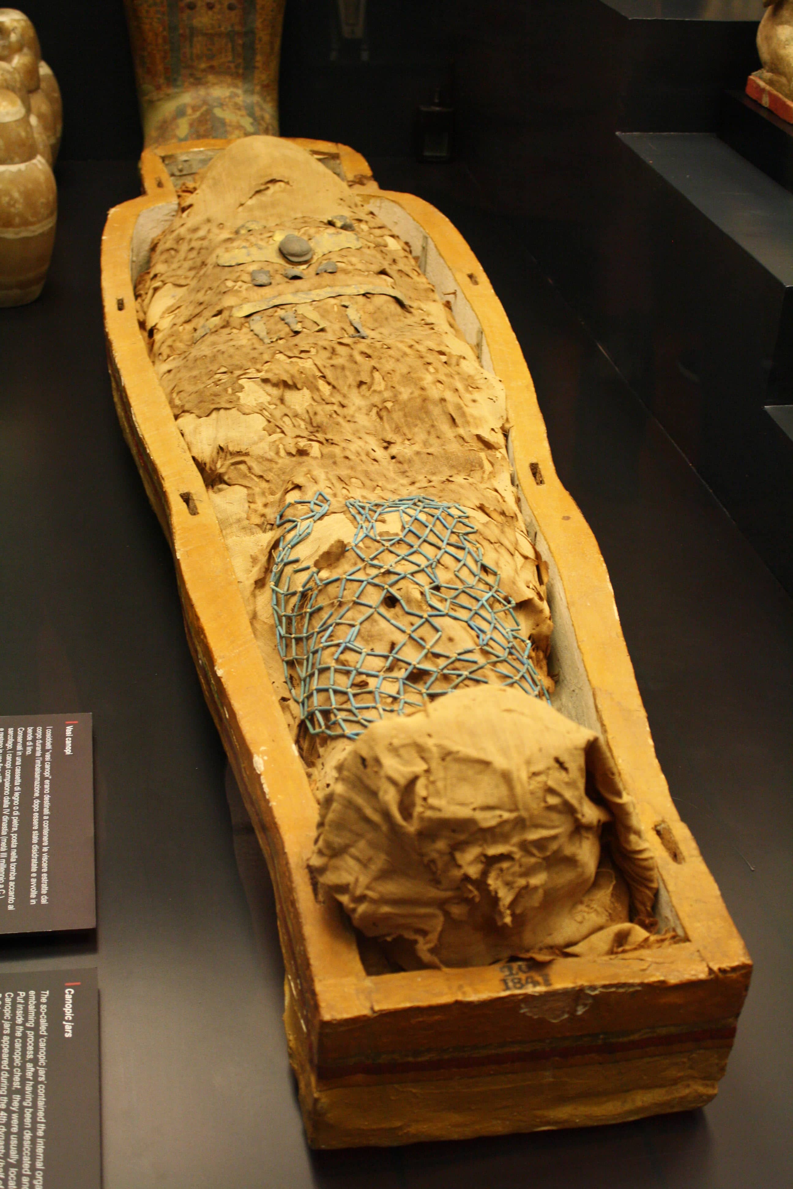 Real Mummies