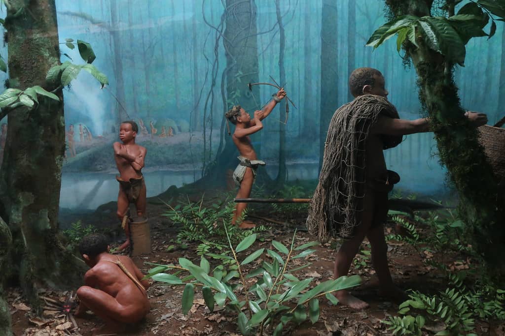 The 300-Year-Old Tree