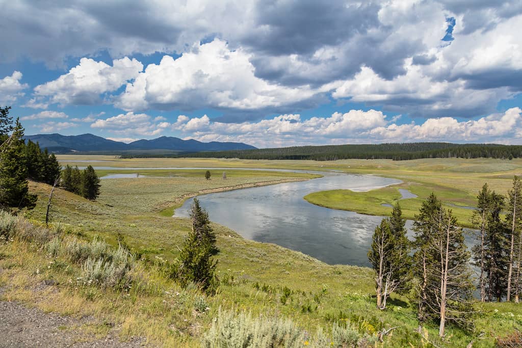 Yellowstone River Views