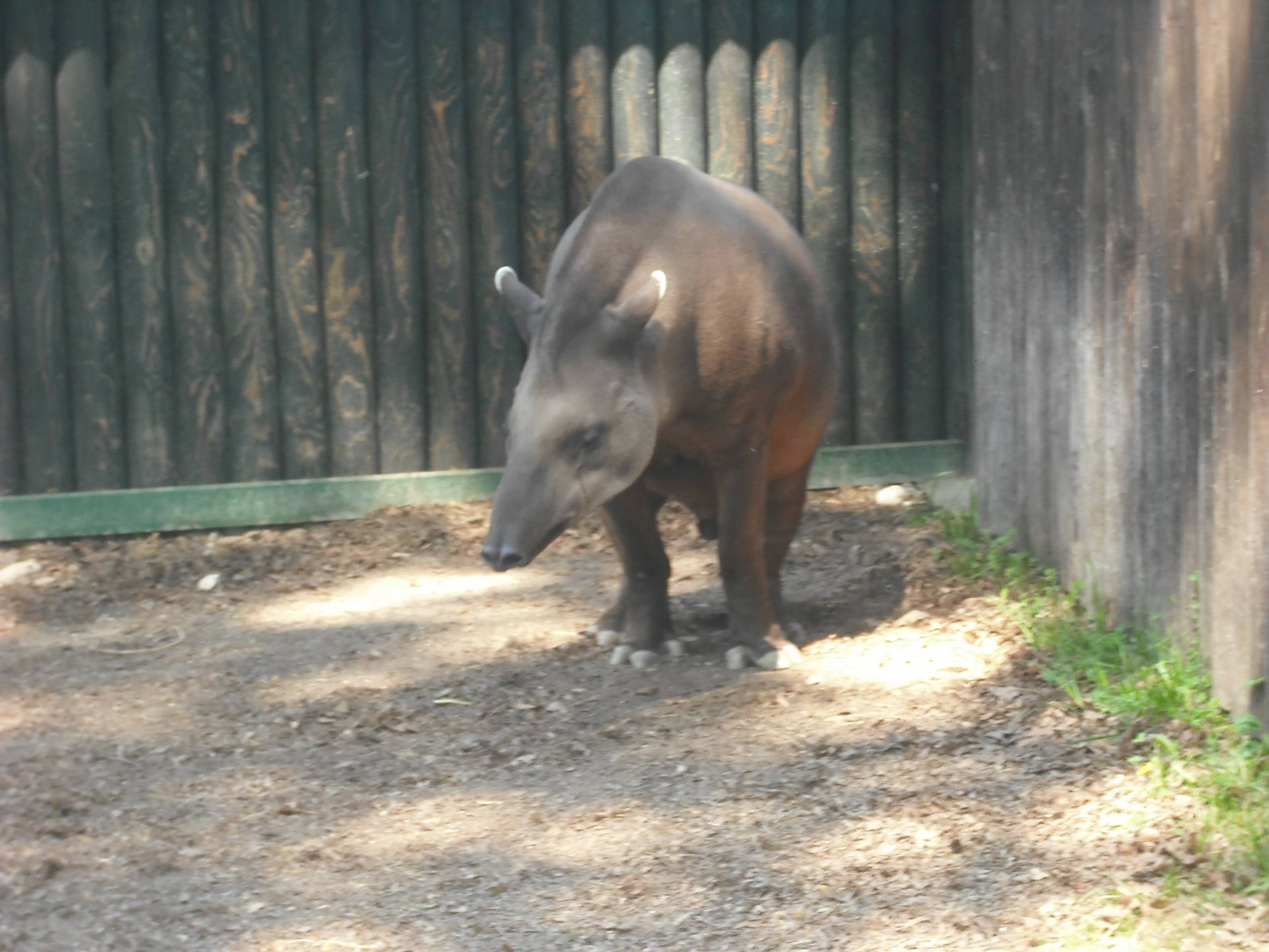 Zagreb Zoo
