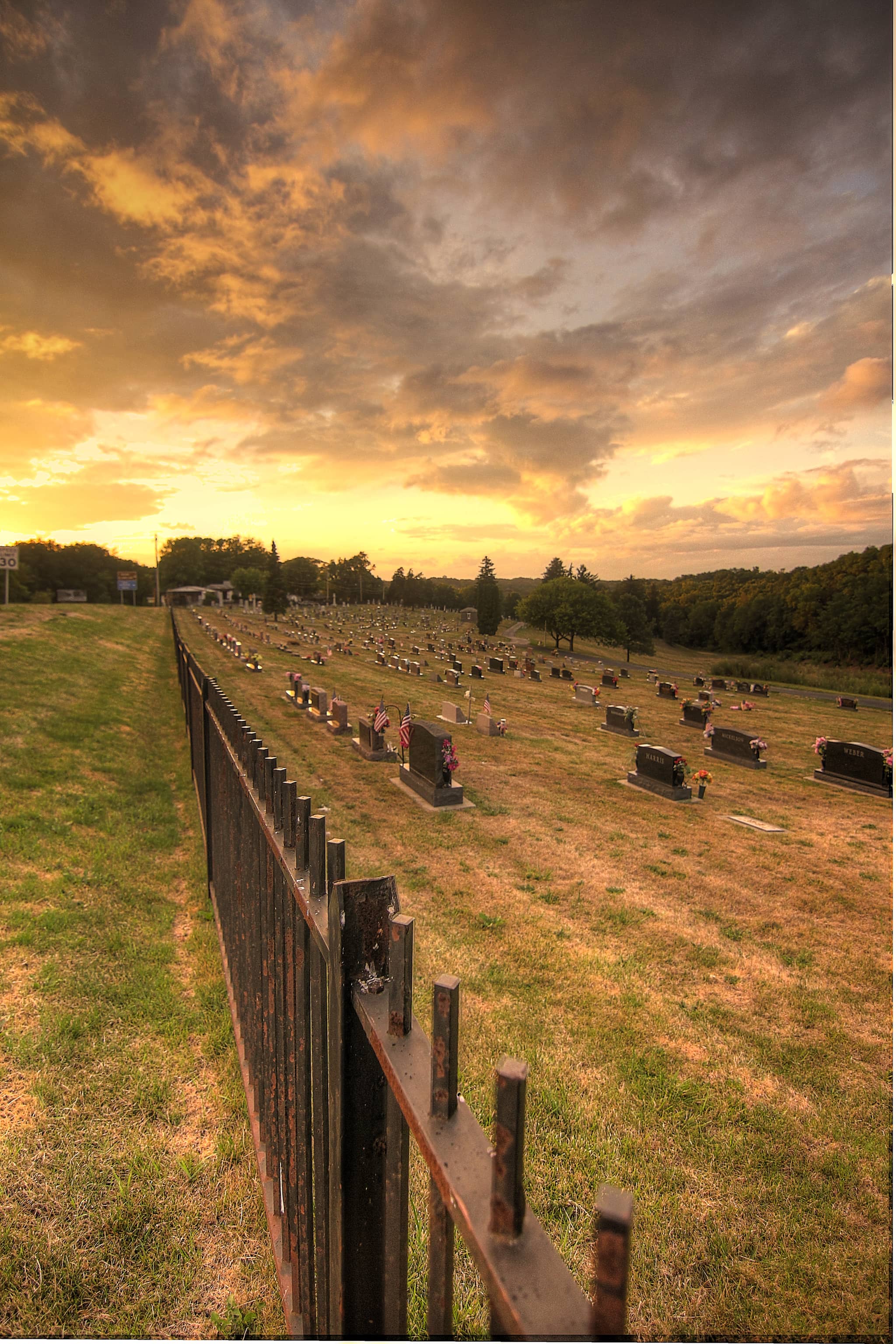 Cast Iron Fences