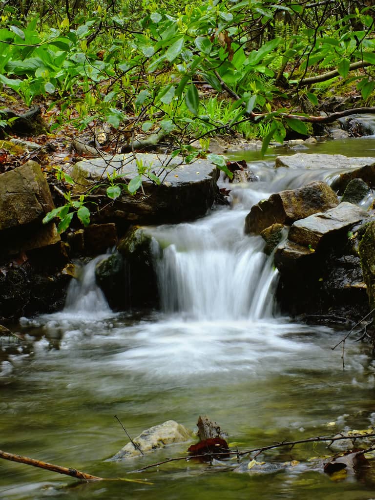 Rocky Ledge Exploration