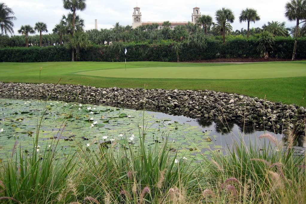Oceanfront Relaxation