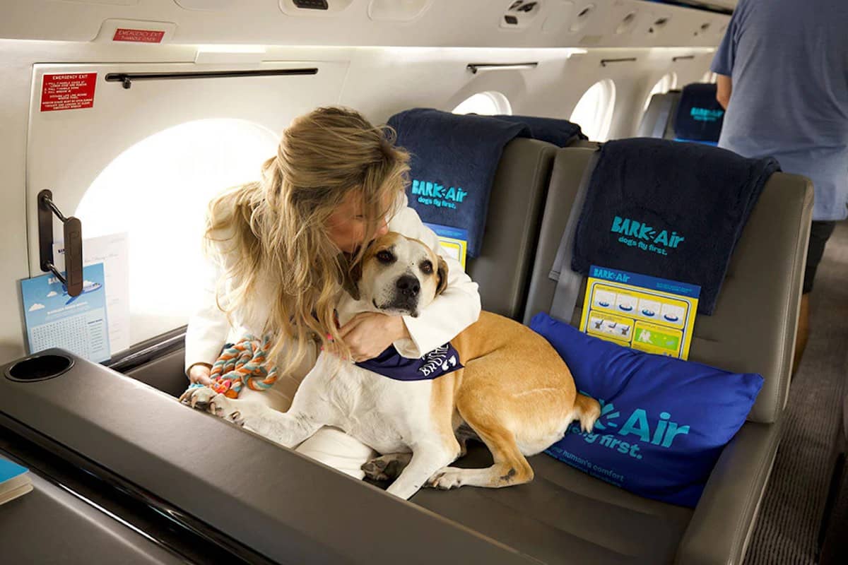Dog-Friendly Grounds