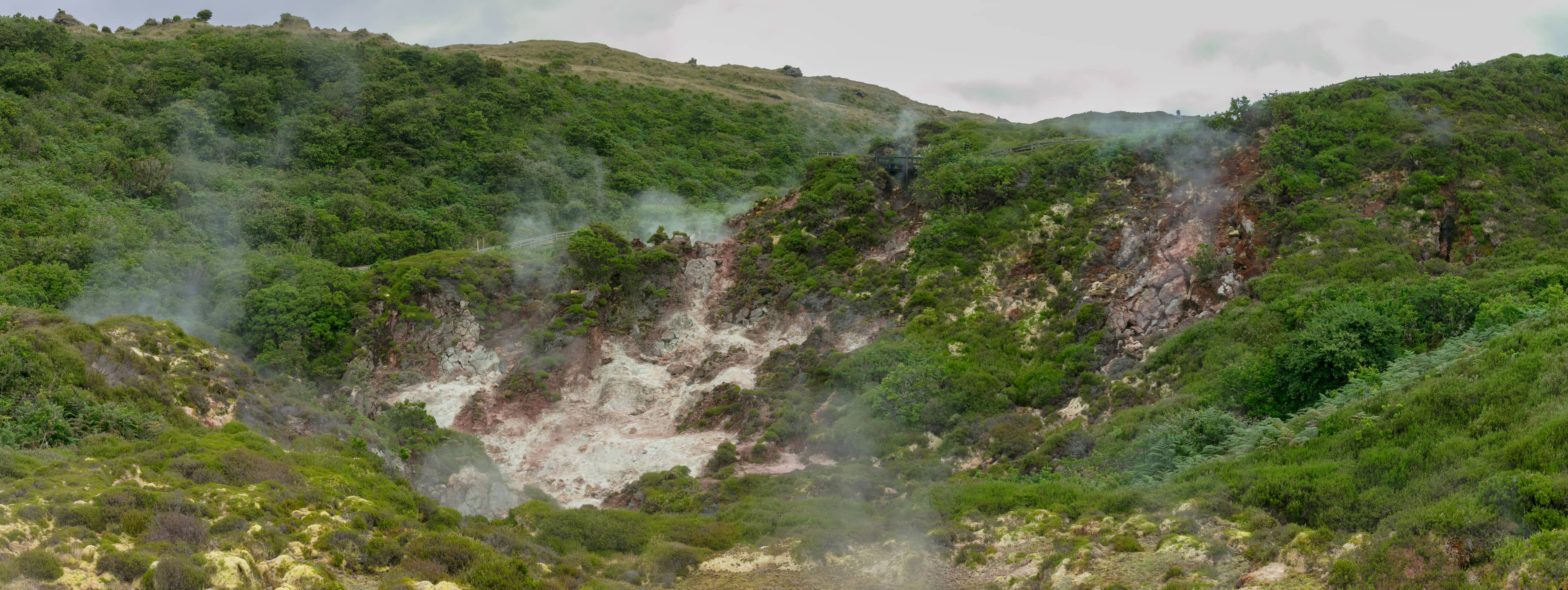 Calming Natural Surroundings