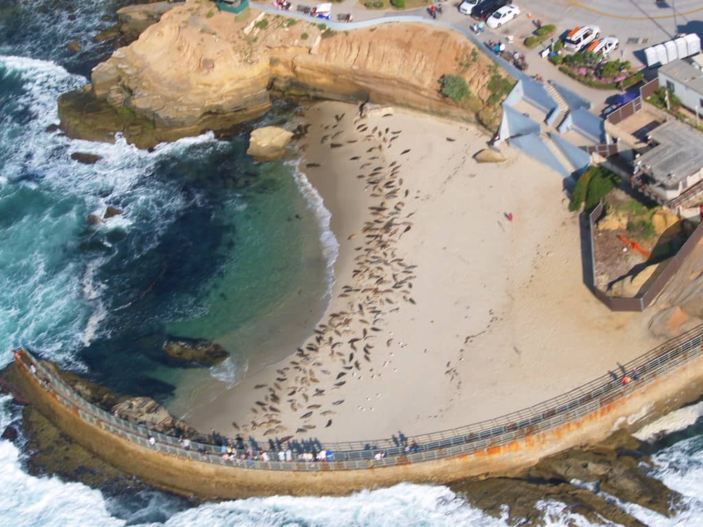 Children's Pool Beach