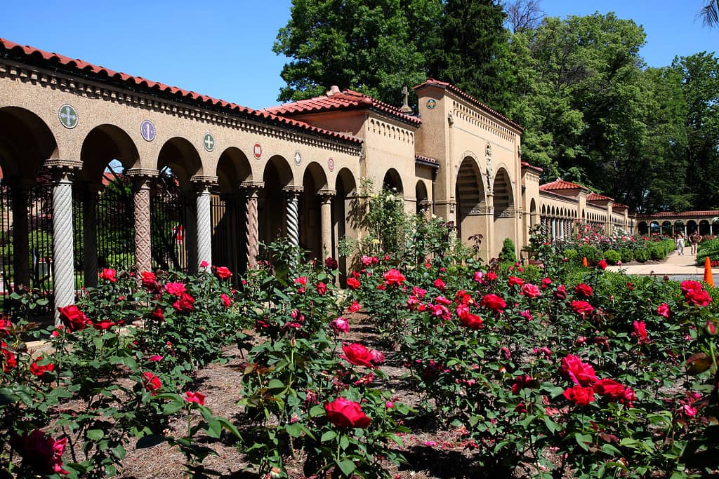Tranquil Gardens