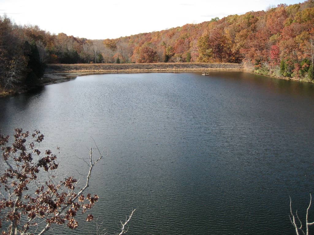 Lake Acorn