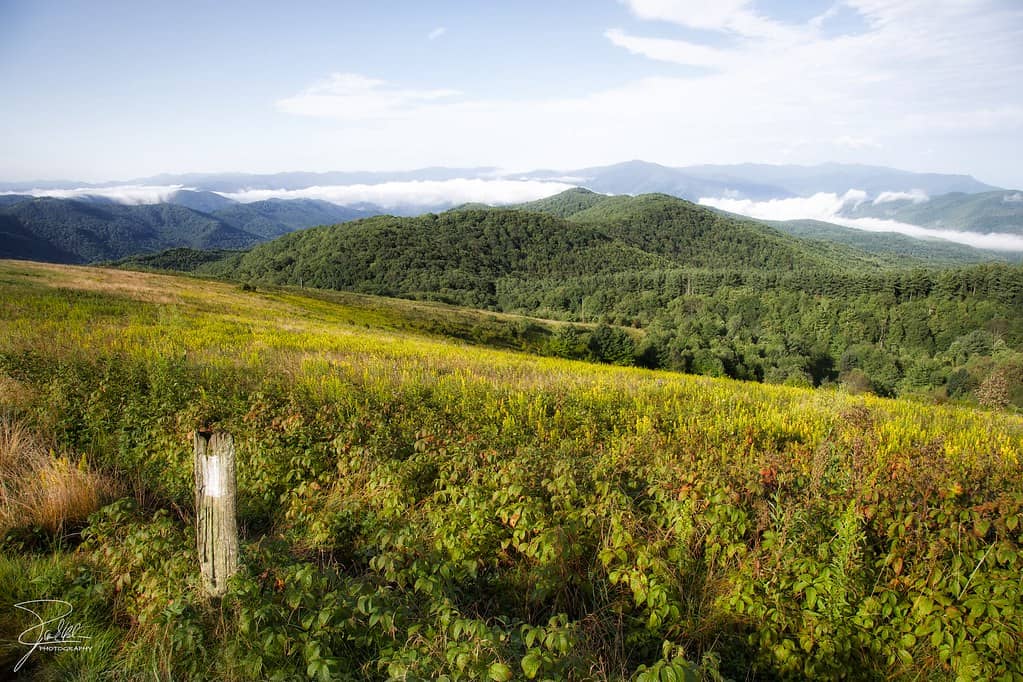 Appalachian Trail Section