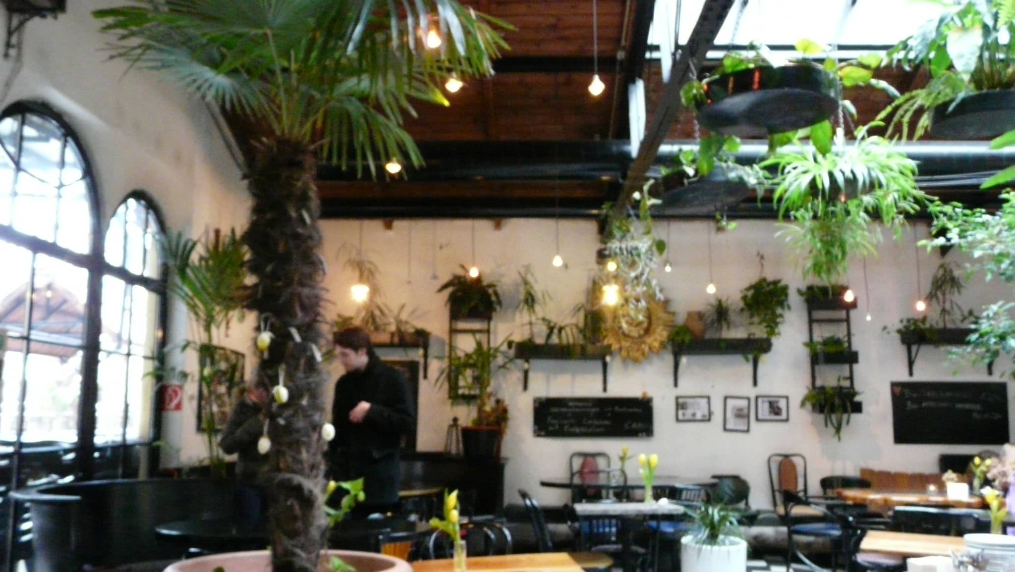 Café Kunst Haus Wien