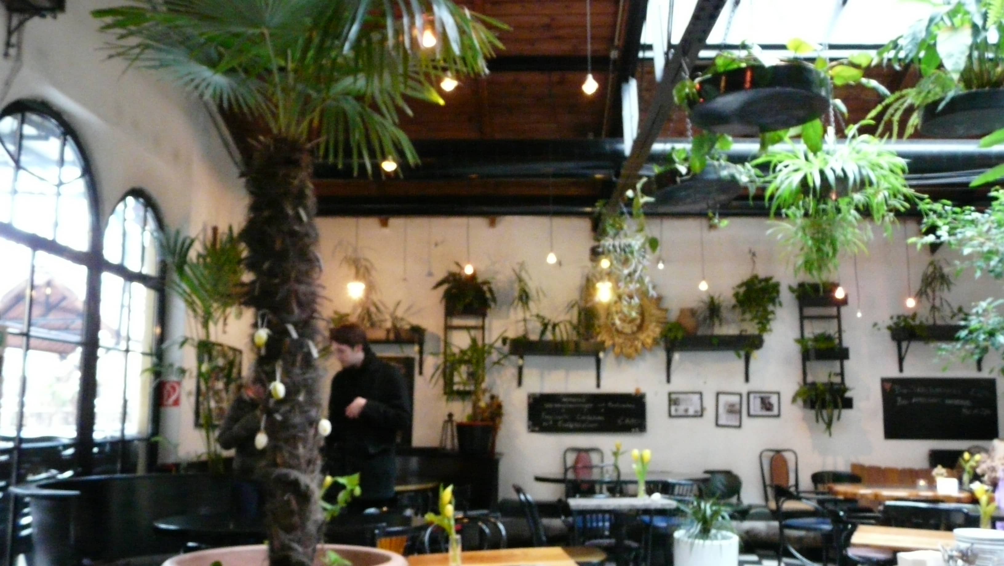 Café Kunst Haus Wien