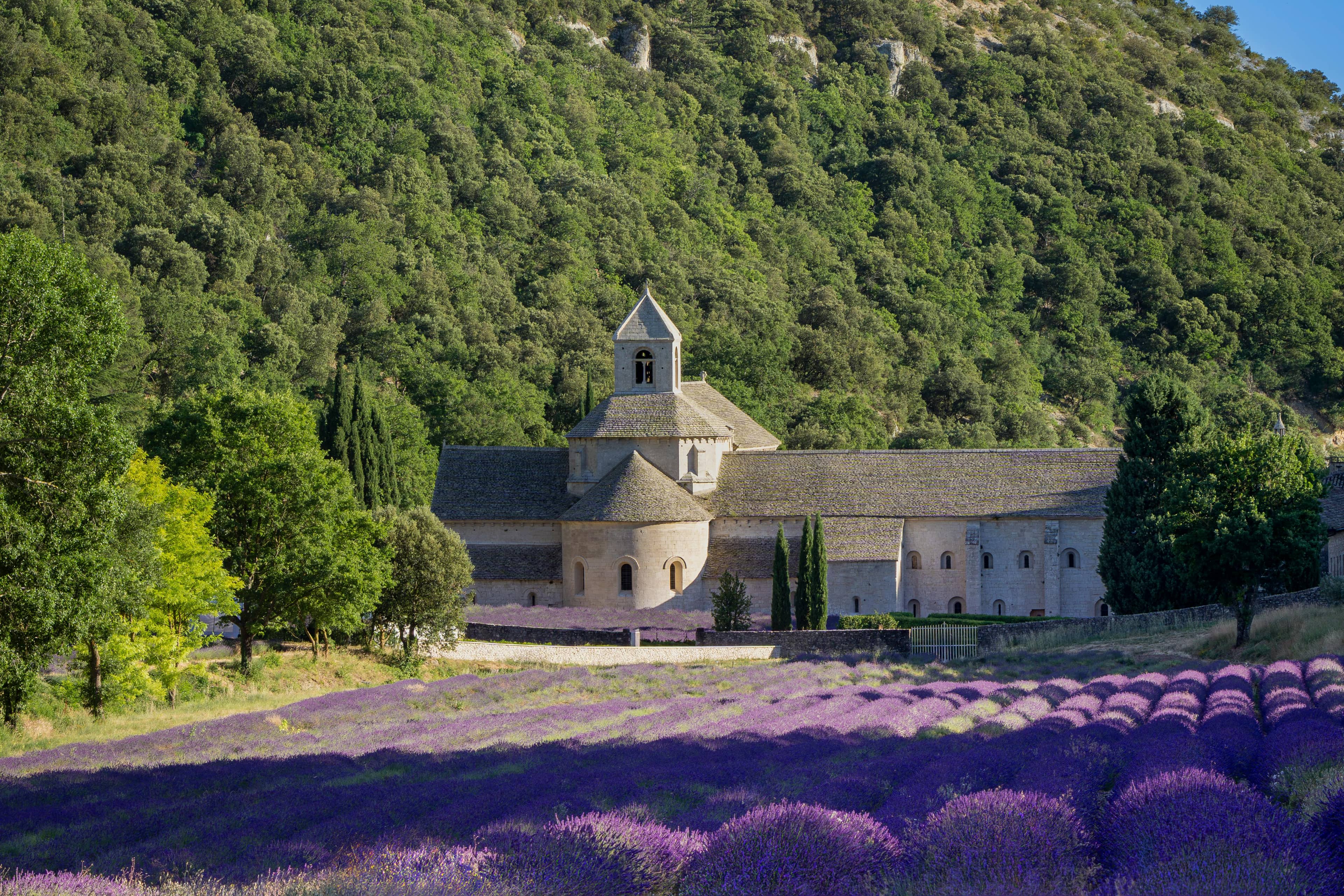 Sénanque Abbey