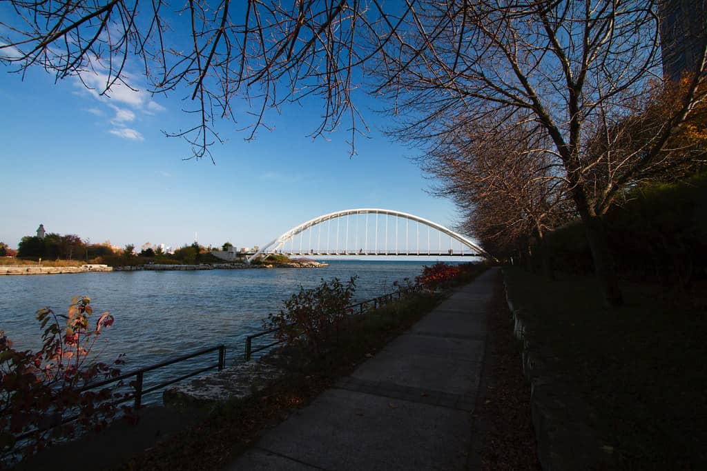 Humber Bay Butterfly Habitat