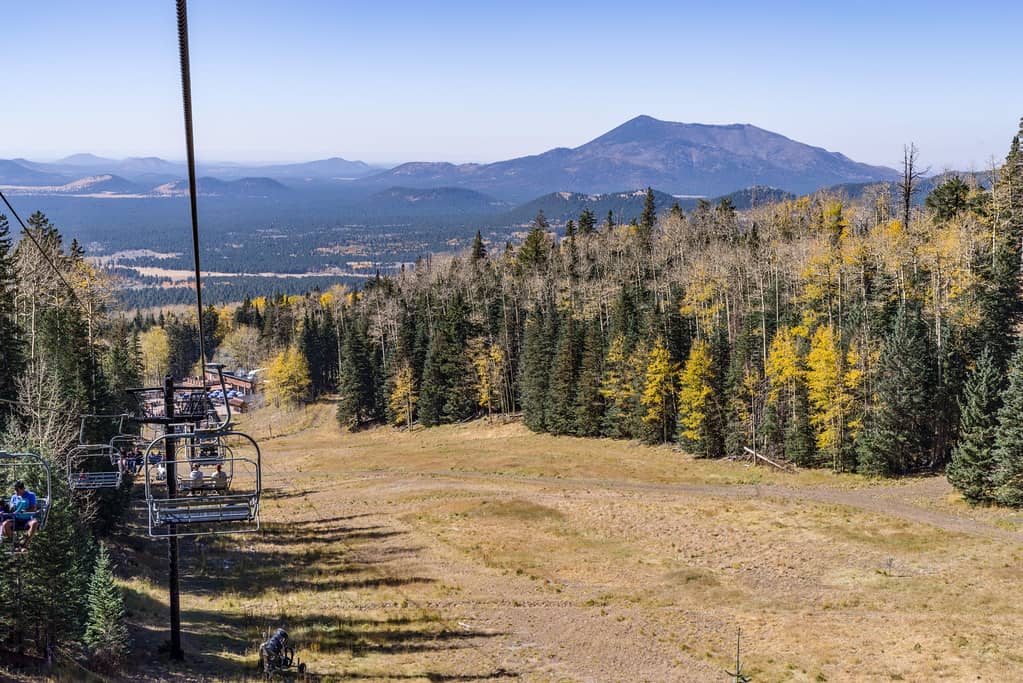 Fall Aspen Colors