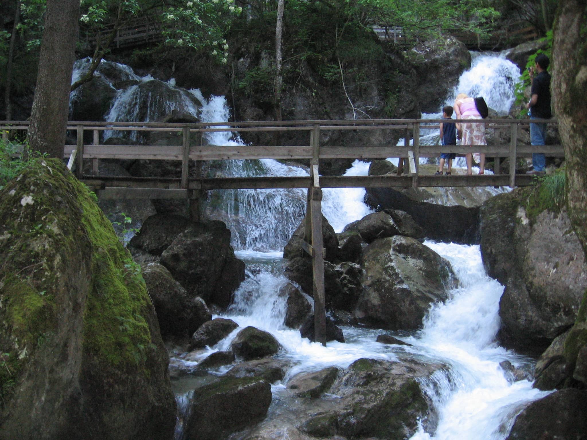 Scenic Wooden Bridges