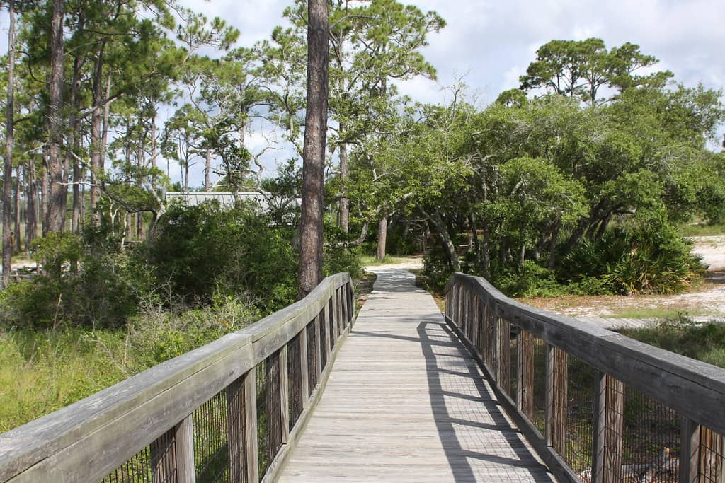 Nature Trails