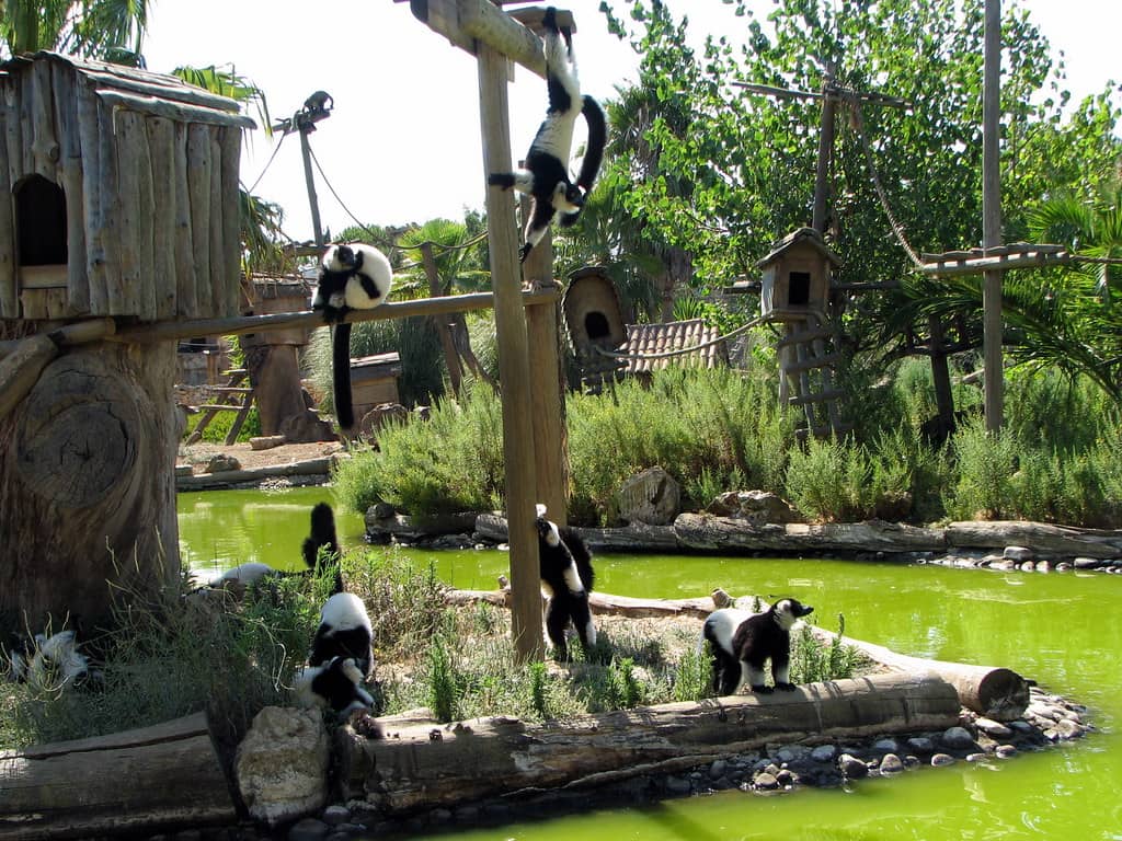 Monkey Island