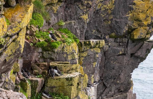 Panoramic Cliff Views