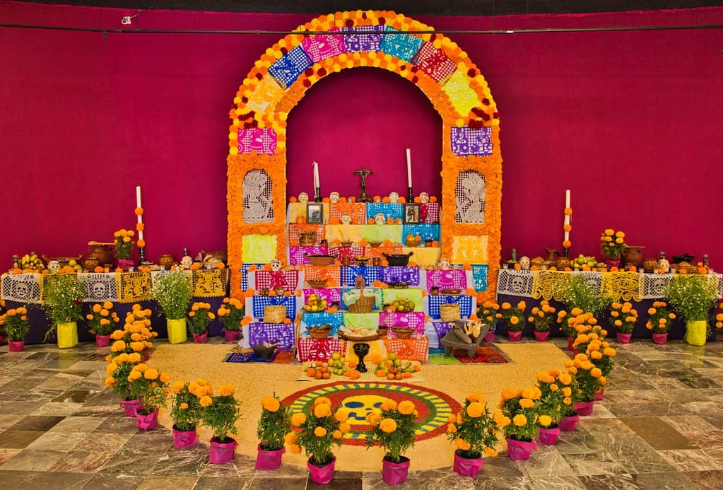 Contemporary Art Galleries