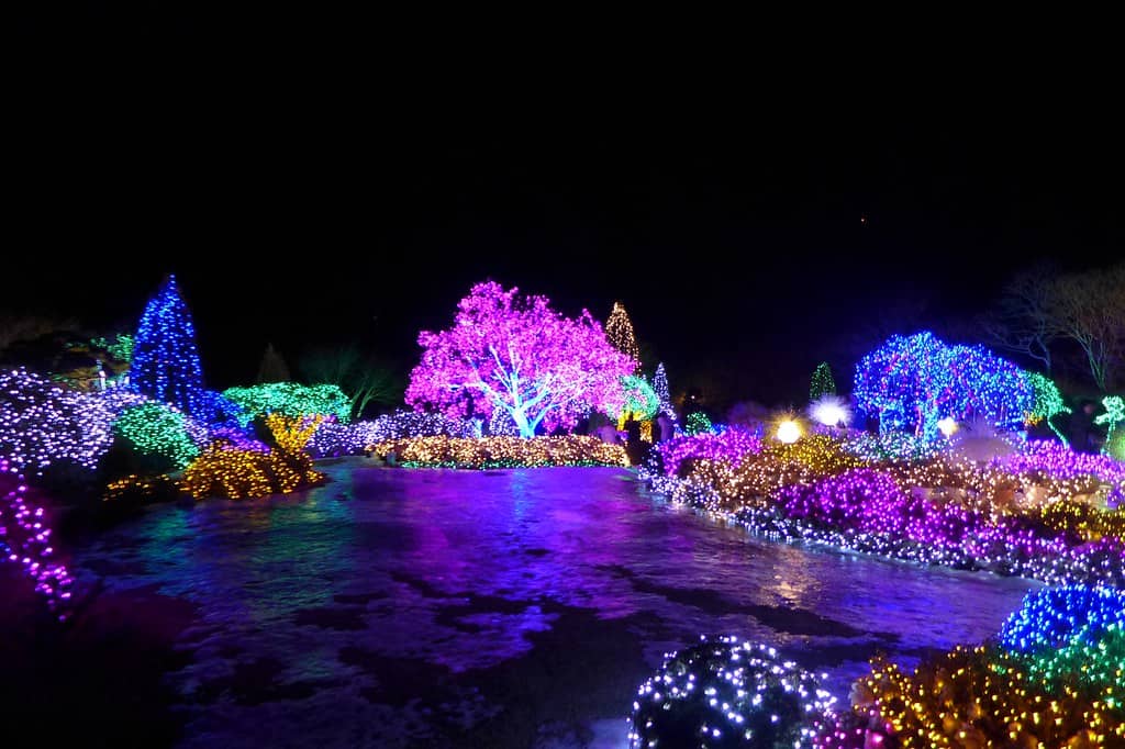 Winter Light Festival