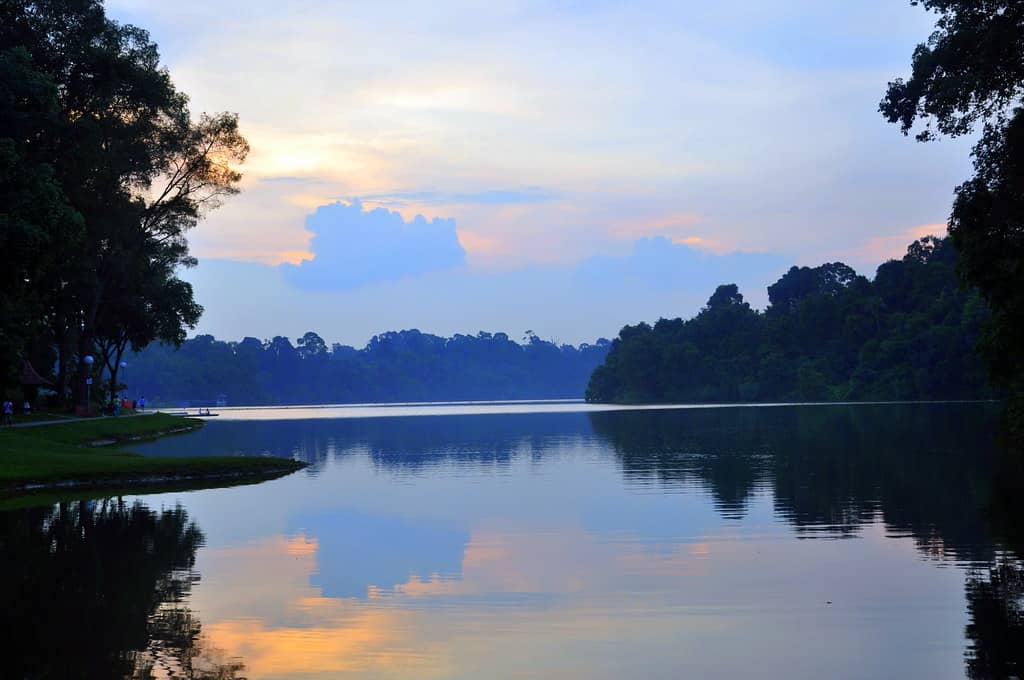 MacRitchie Reservoir