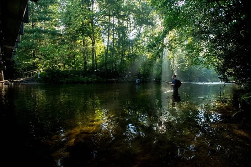 NoDa Neighborhood Connection