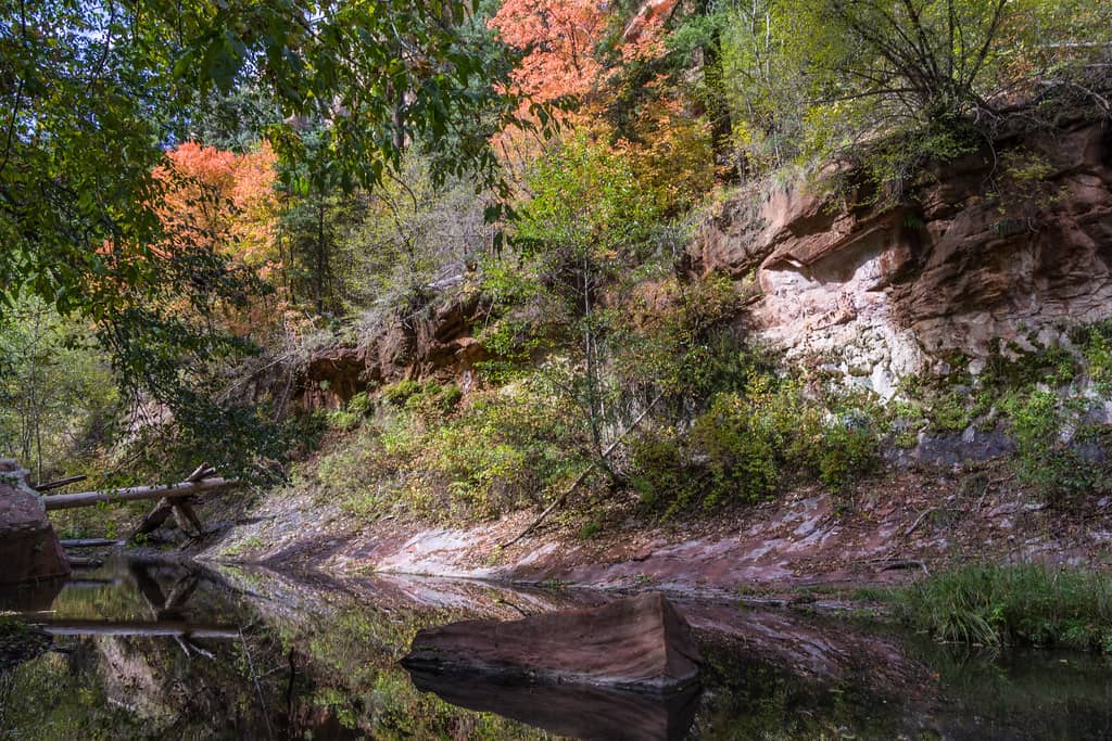 West Fork Trail Adventure