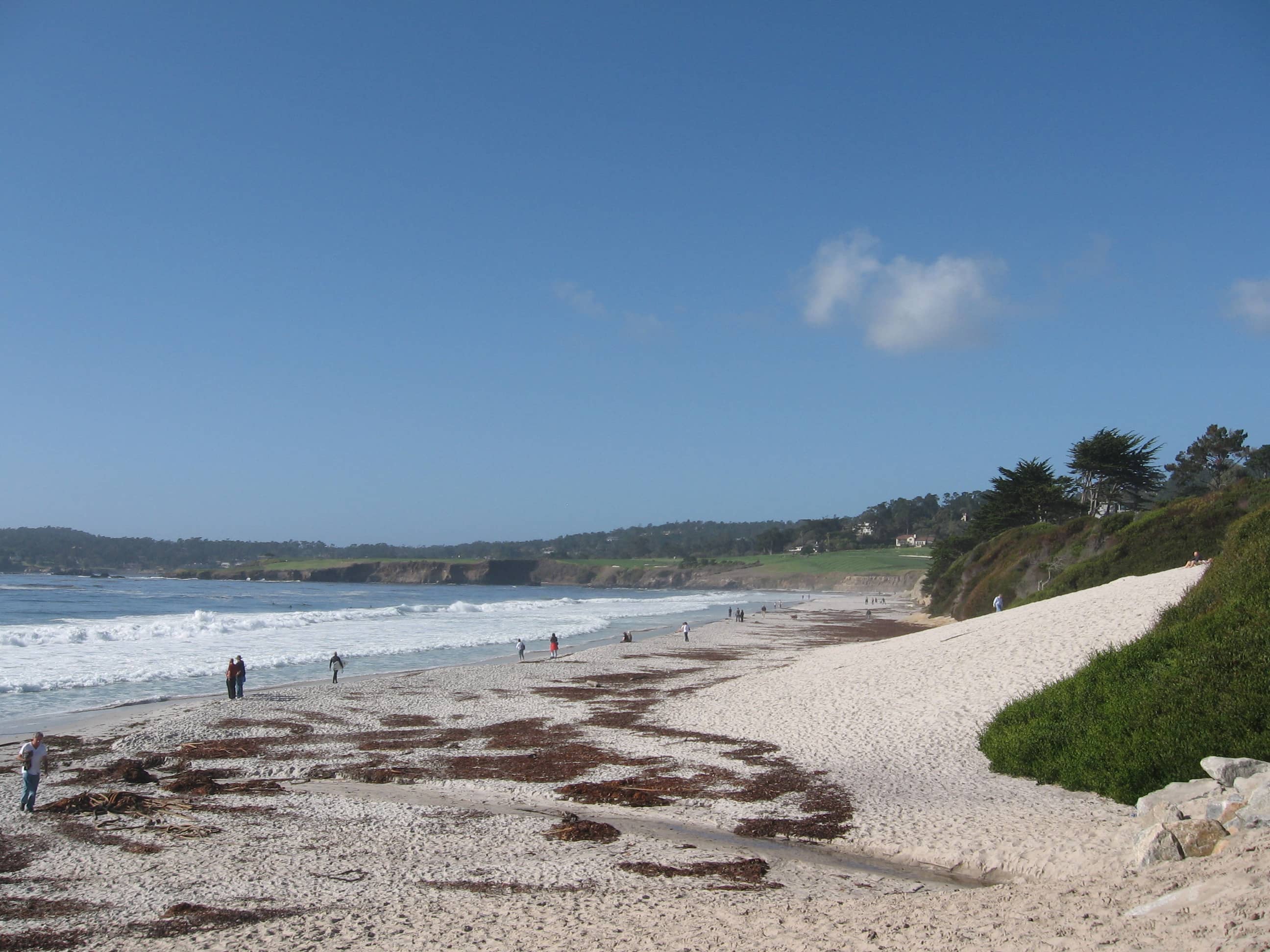 Carmel Beach