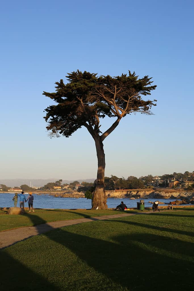 Lovers Point Park