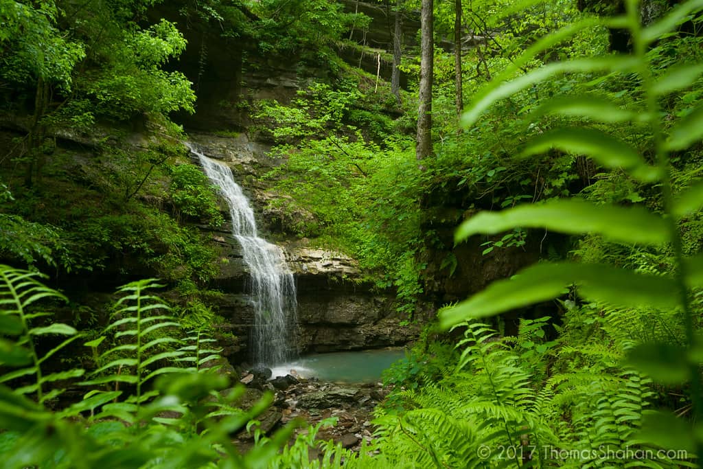 Waterfall Wonders